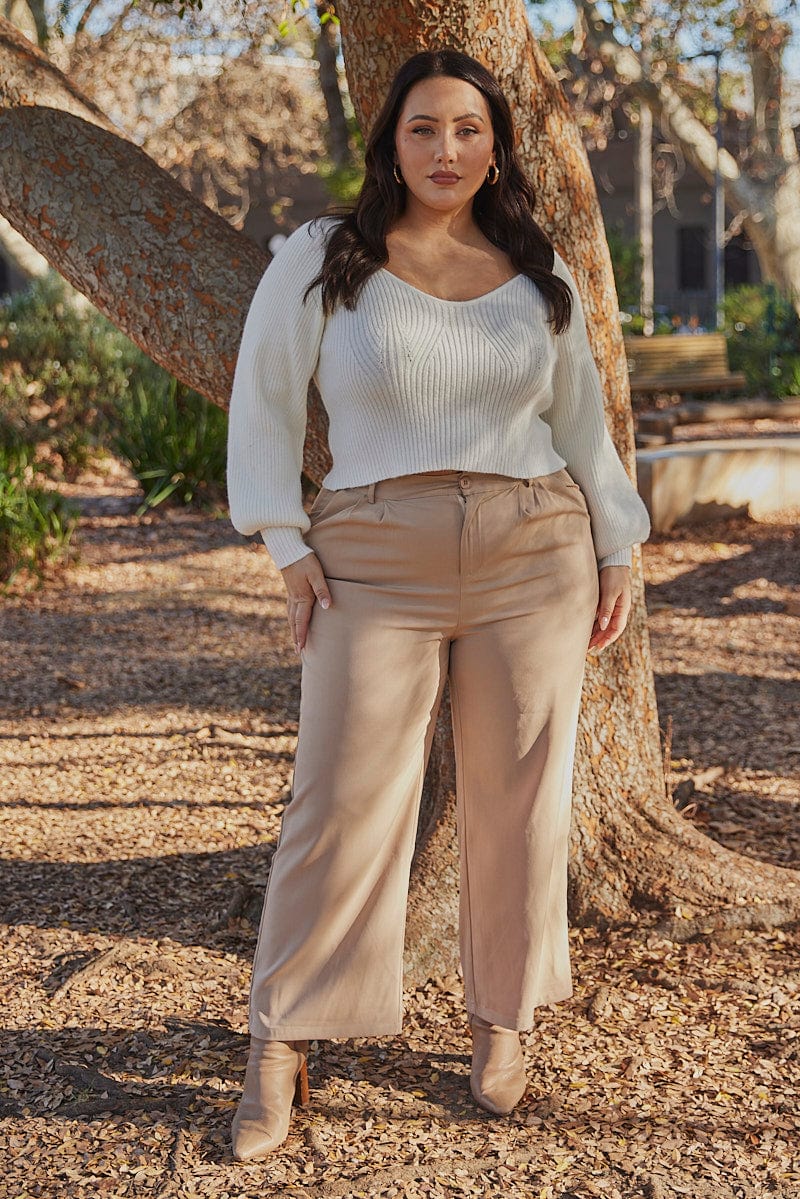 Beige Wide Leg Pants High Rise You All