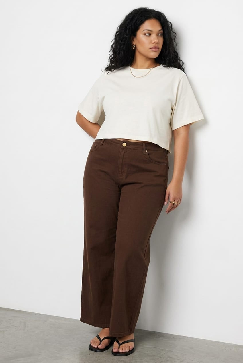 Brown Straight Jeans Mid Rise
