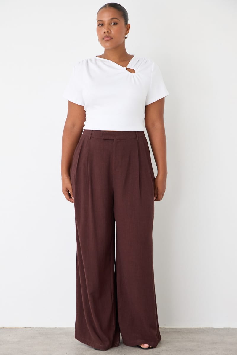 Brown Wide Leg Pleated Pants Mid Rise for YouandAll Fashion