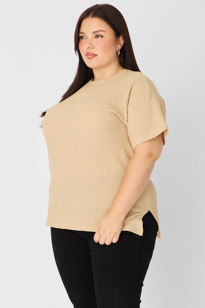 Beige Textured Top Short Sleeve Crew Neck for YouandAll Fashion