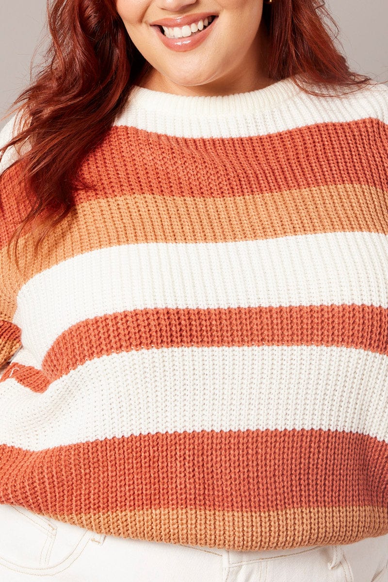 Brown Stripe Stripe Knit Jumper Long Sleeve Round Neck for YouandAll Fashion