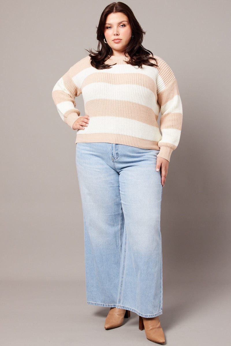 Beige Stripe Stripe Knit Jumper Long Sleeve Crew Neck for YouandAll Fashion