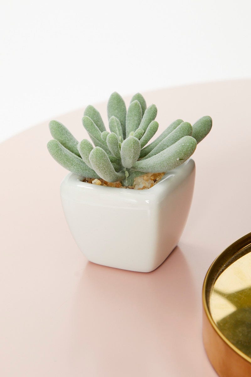 Green Artificial Mini Succulent In White Pot For Women By You And All