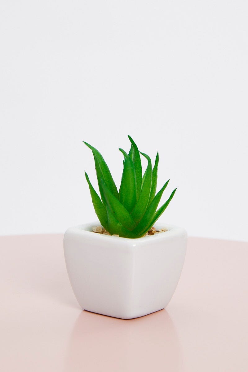Green Artificial Mini Succulent In White Pot For Women By You And All