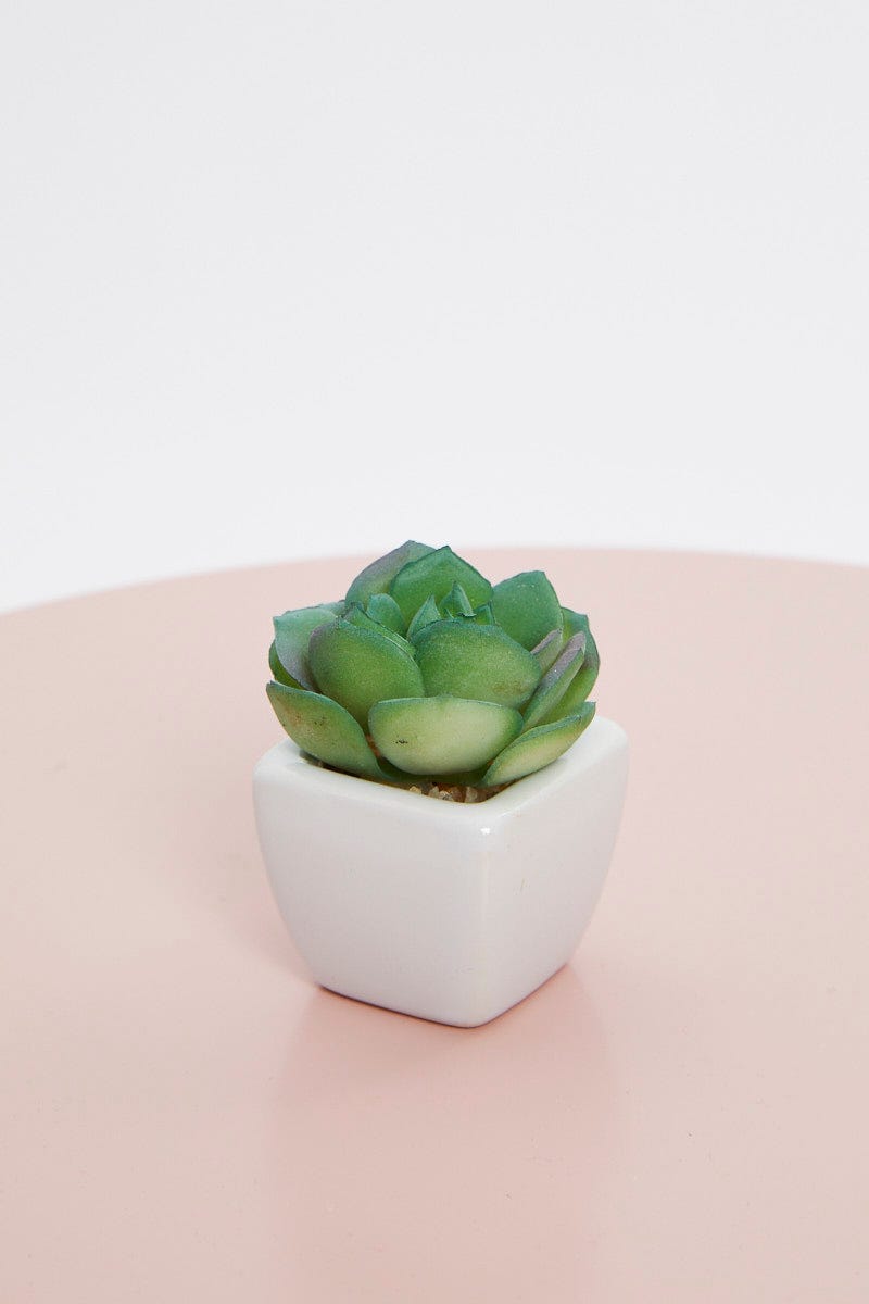 Green Artificial Mini Succulent In White Pot For Women By You And All