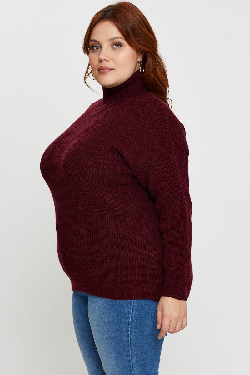 Plus Size Red Knit Top Turtle Neck Long Sleeve Longline You