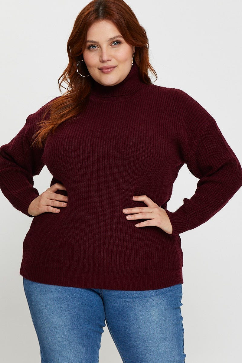 Plus Size Red Knit Top Turtle Neck Long Sleeve Longline You